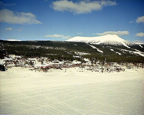 010413_01_std.jpg