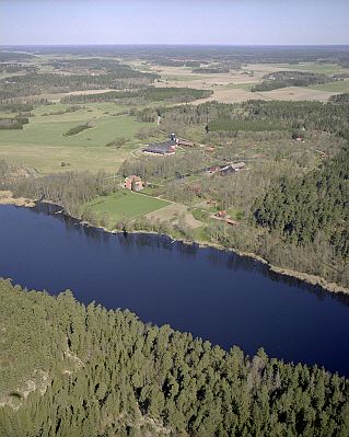 010508_01_std.jpg