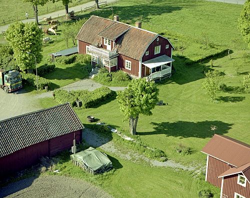 010607_03_std.jpg