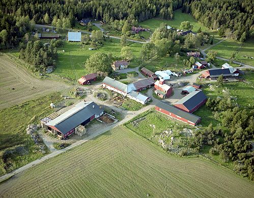 010930_19.jpg