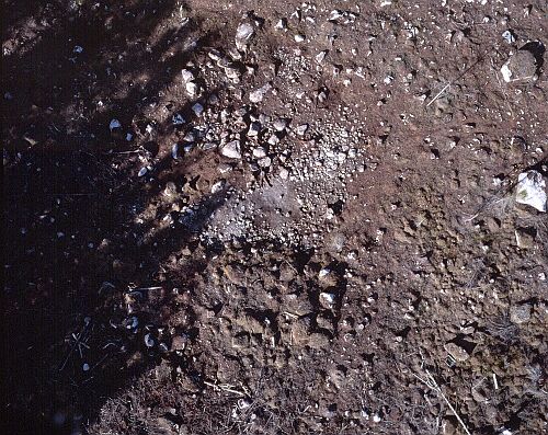030719_stormos07.jpg