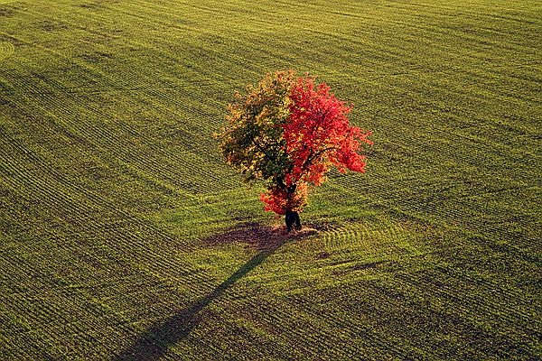 031006_0887.jpg