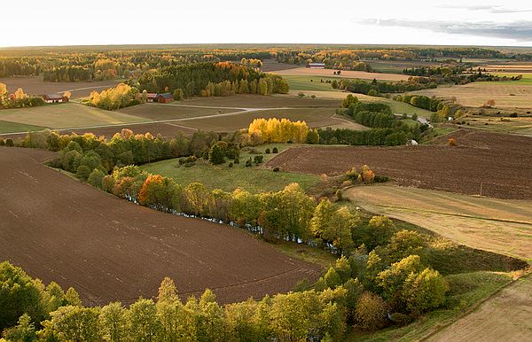 031006_0889c.jpg