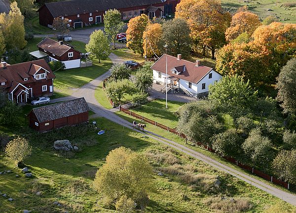 041009_2504c1.jpg