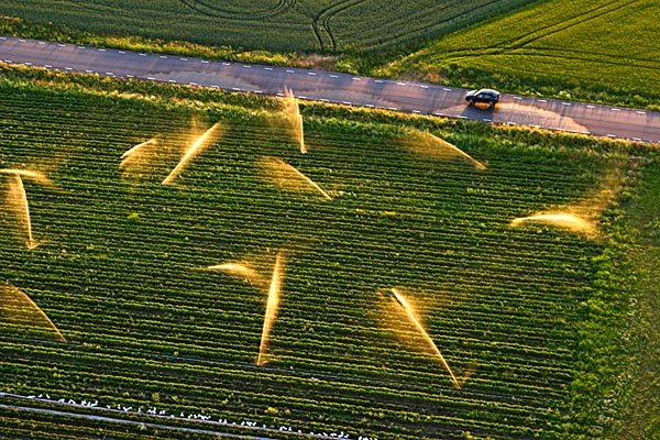 050708_2059.jpg