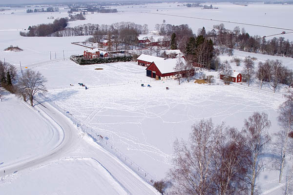 060311_2854.jpg