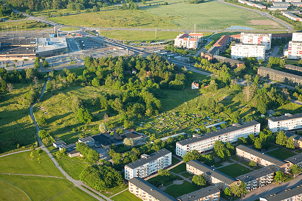 090626_3265.jpg