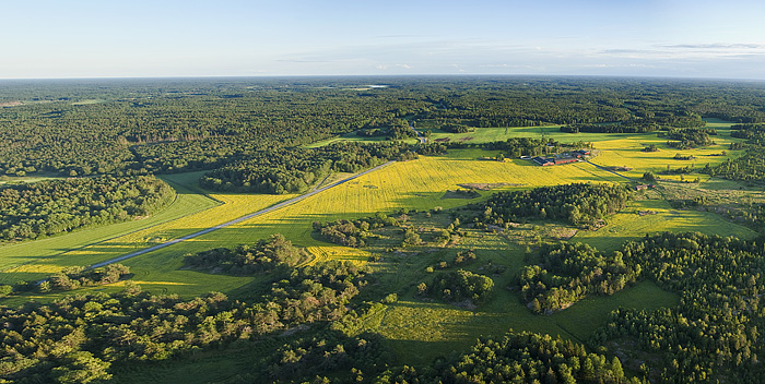 090705Pano1.jpg
