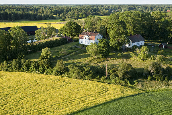 090705_3337.jpg
