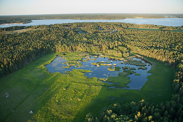 110713_MG_4783.jpg