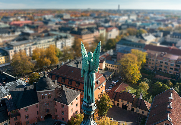131012_1579crop.jpg