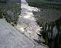 030511_glad03.jpg