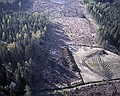 030517_snar06.jpg