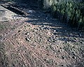 030517_snar13.jpg