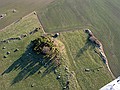 030602_0650.jpg