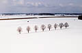 060311_2856.jpg