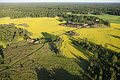 090705_3321.jpg